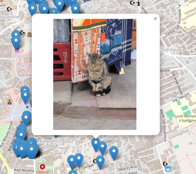 Photos to Map Pins