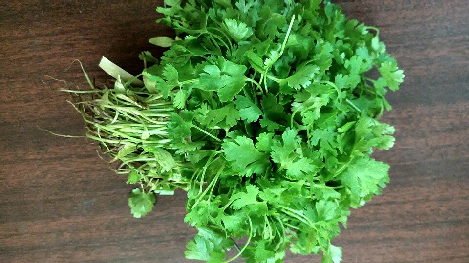 What Does Cilantro Taste Like?