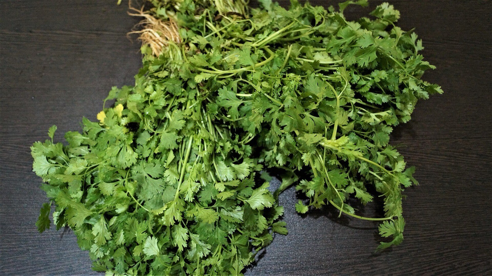 What Does Cilantro Taste Like?