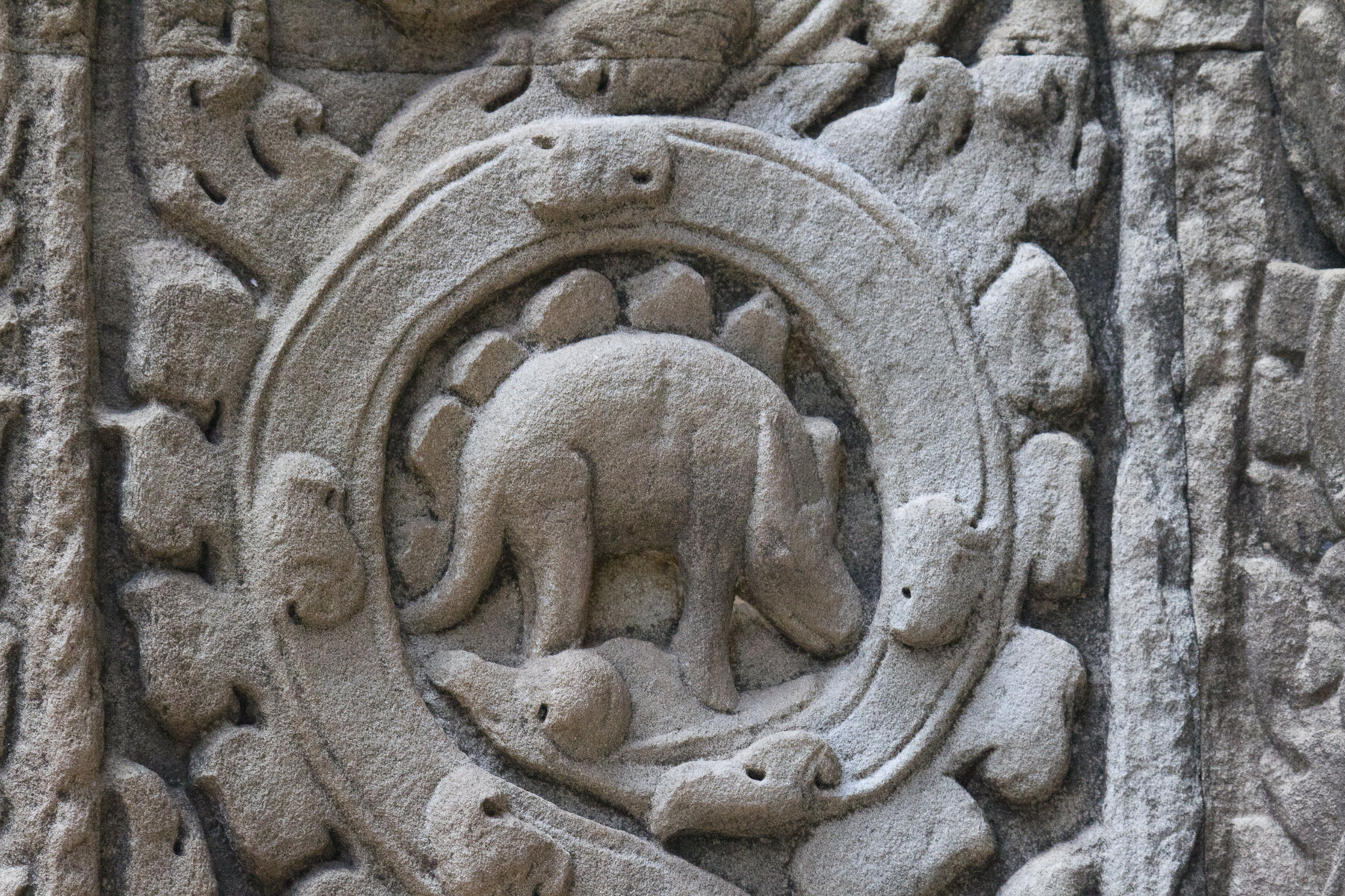 Dragons and Dinosaurs of the Silk Road